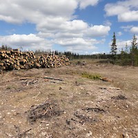 Looking east at hole C11-01